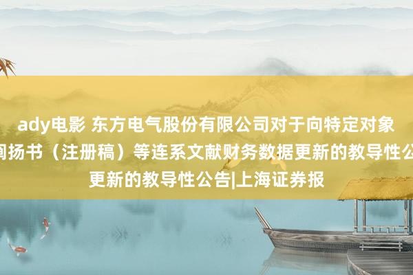 ady电影 东方电气股份有限公司对于向特定对象刊行股票召募阐扬书（注册稿）等连系文献财务数据更新的教导性公告|上海证券报