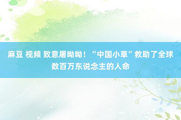 麻豆 视频 致意屠呦呦！“中国小草”救助了全球数百万东说念主的人命