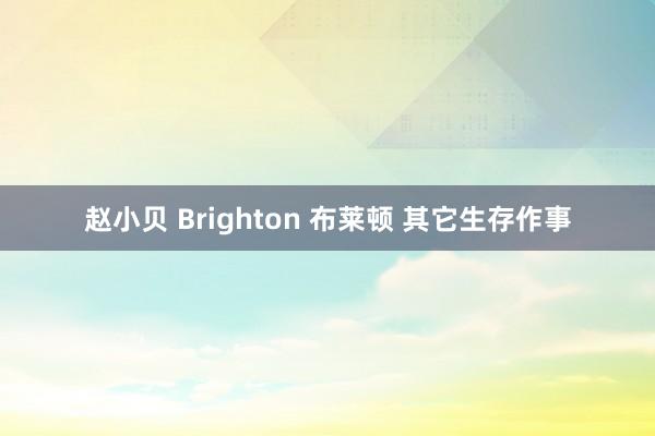 赵小贝 Brighton 布莱顿 其它生存作事