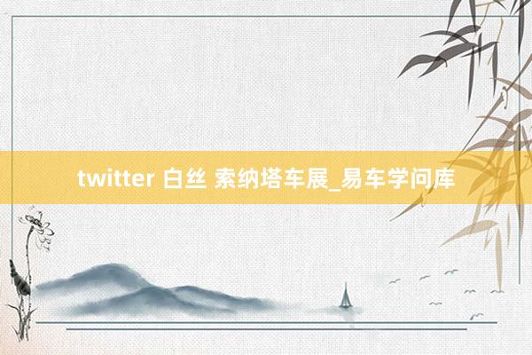 twitter 白丝 索纳塔车展_易车学问库