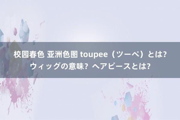 校园春色 亚洲色图 toupee（ツーペ）とは？ウィッグの意味？ヘアピースとは？