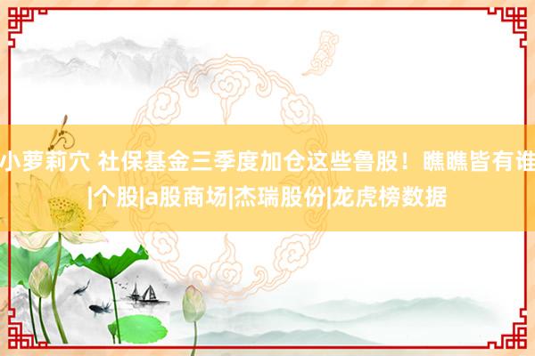 小萝莉穴 社保基金三季度加仓这些鲁股！瞧瞧皆有谁|个股|a股商场|杰瑞股份|龙虎榜数据