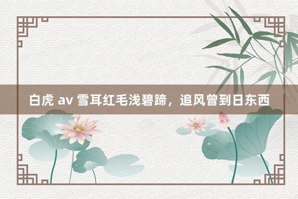 白虎 av 雪耳红毛浅碧蹄，追风曾到日东西