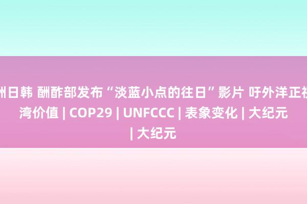 亚洲日韩 酬酢部发布“淡蓝小点的往日”影片 吁外洋正视台湾价值 | COP29 | UNFCCC | 表象变化 | 大纪元