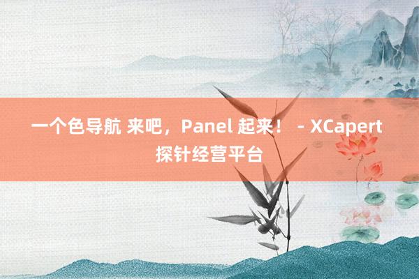 一个色导航 来吧，Panel 起来！ - XCapert 探针经营平台