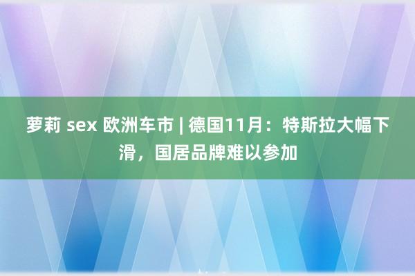 萝莉 sex 欧洲车市 | 德国11月：特斯拉大幅下滑，国居品牌难以参加