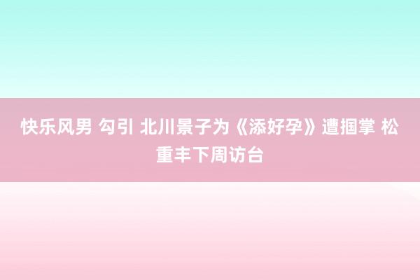 快乐风男 勾引 北川景子为《添好孕》遭掴掌 松重丰下周访台