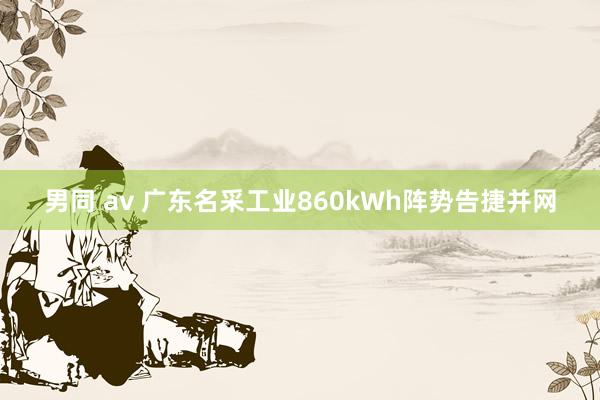 男同 av 广东名采工业860kWh阵势告捷并网