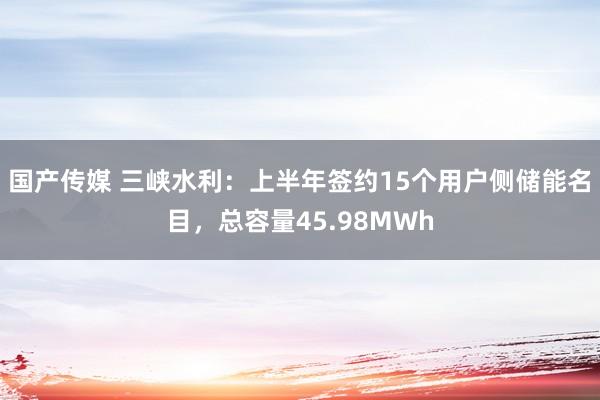 国产传媒 三峡水利：上半年签约15个用户侧储能名目，总容量45.98MWh